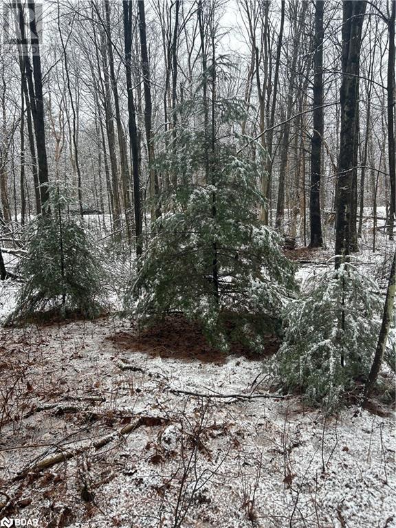 00 Skootamatta Lane, Tweed, Ontario  K0K 3J0 - Photo 12 - 40687037