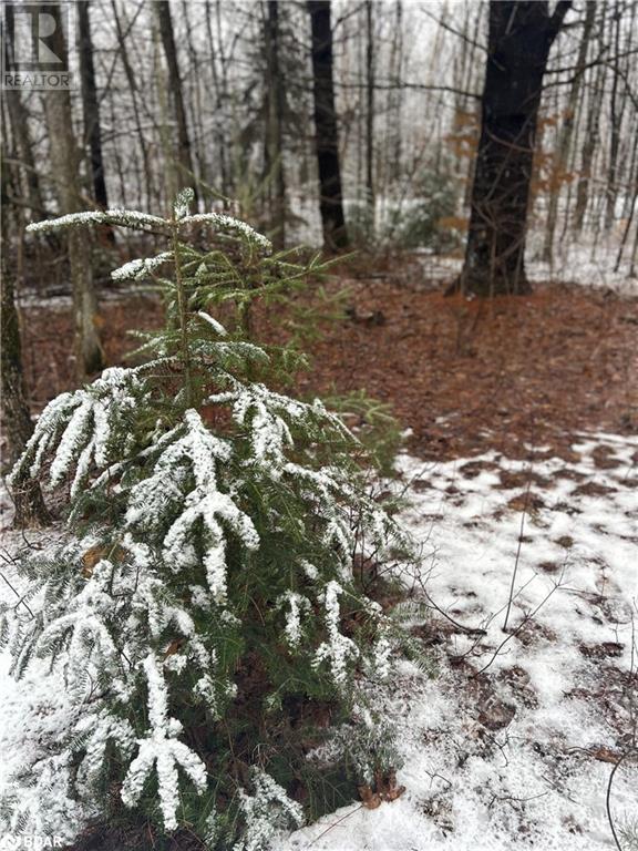 00 Skootamatta Lane, Tweed, Ontario  K0K 3J0 - Photo 14 - 40687037