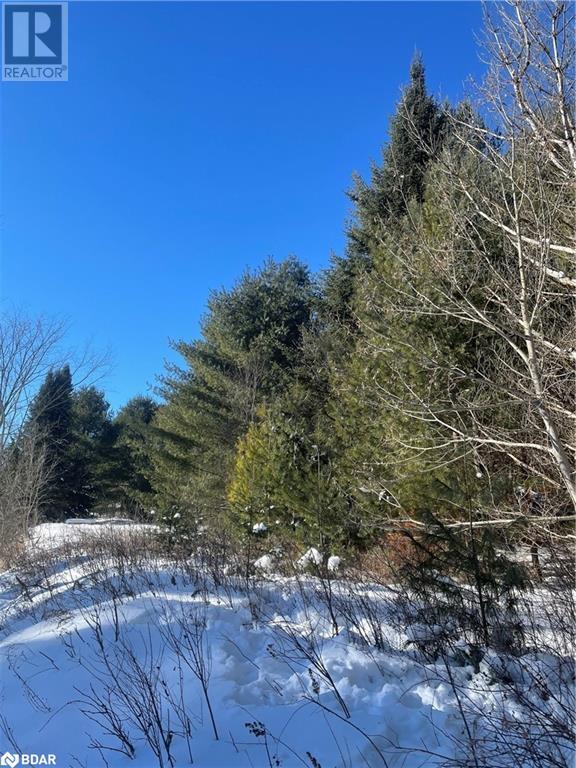 00 Skootamatta Lane, Tweed, Ontario  K0K 3J0 - Photo 15 - 40687037