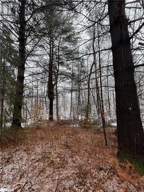 00 Skootamatta Lane, Tweed, Ontario  K0K 3J0 - Photo 3 - 40687037