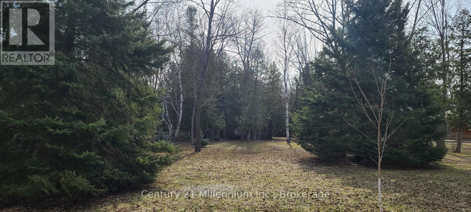 60 Robert Street S, Wasaga Beach, Ontario  L9Z 2Y2 - Photo 3 - S11905449