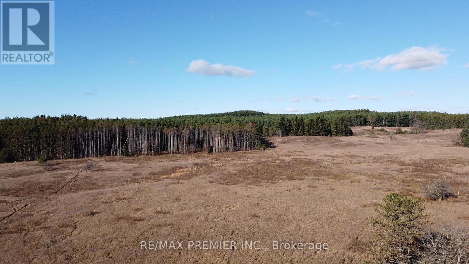9792 Highway 9, Adjala-Tosorontio, Ontario  L7E 0G3 - Photo 2 - N11905406