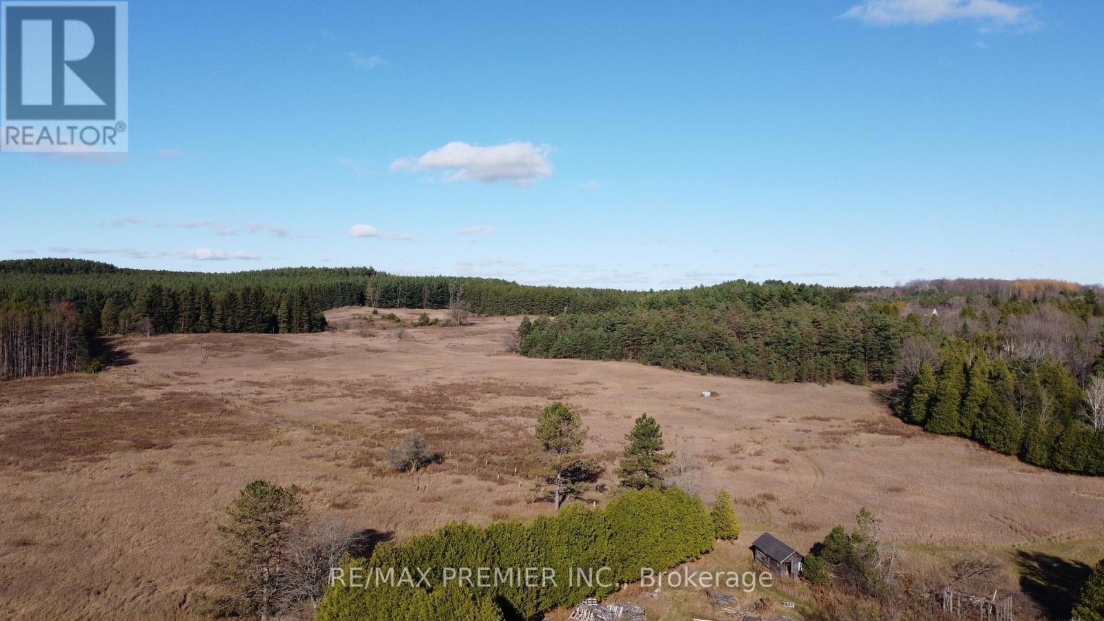 9792 Highway 9, Adjala-Tosorontio, Ontario  L7E 0G3 - Photo 3 - N11905406