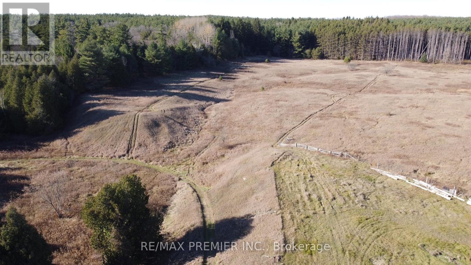 9792 Highway 9, Adjala-Tosorontio, Ontario  L7E 0G3 - Photo 5 - N11905406