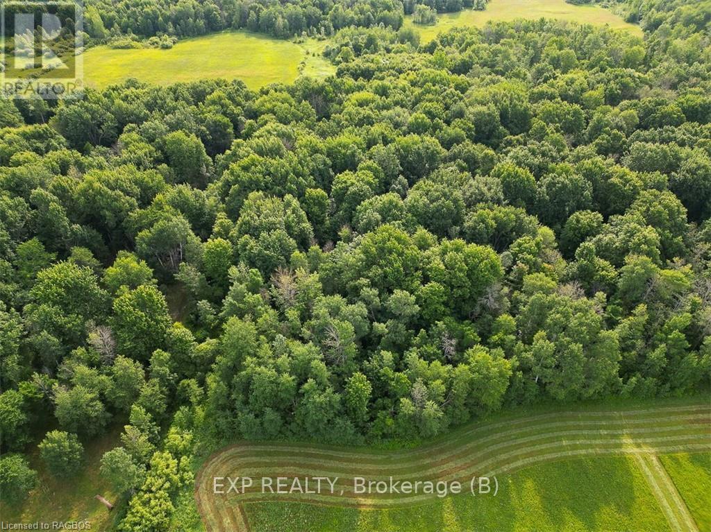 156639 Concession 7a, Chatsworth, Ontario  N0H 1G0 - Photo 39 - X10847772