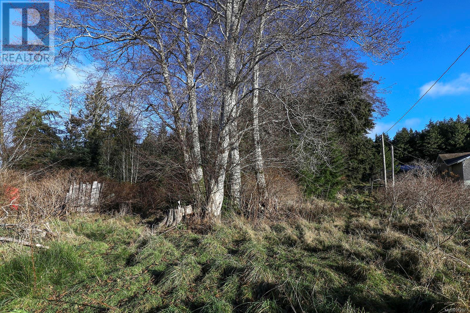 665 1st St, Sointula, British Columbia  V0N 3E0 - Photo 21 - 982827