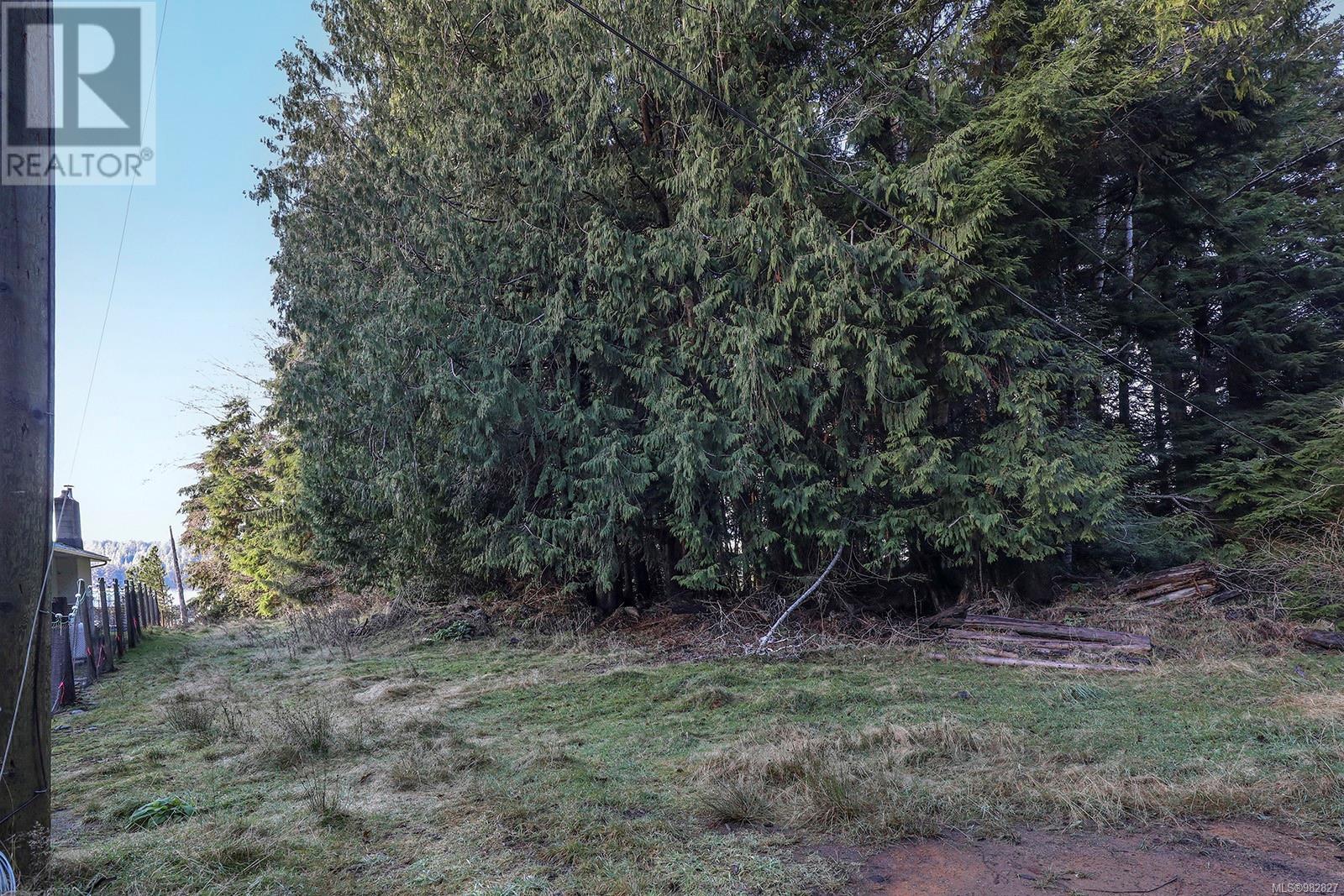 665 1st St, Sointula, British Columbia  V0N 3E0 - Photo 23 - 982827