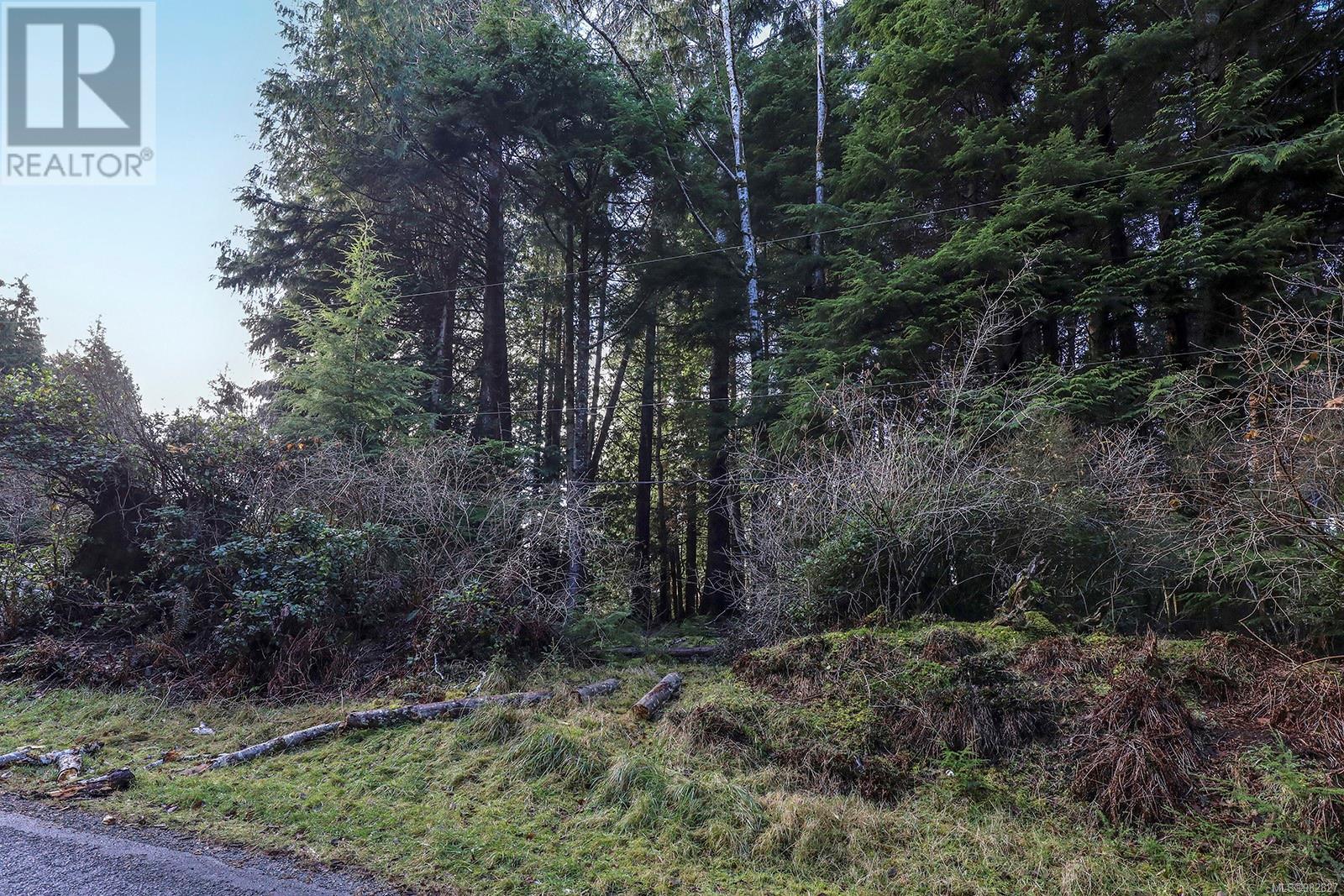 665 1st St, Sointula, British Columbia  V0N 3E0 - Photo 29 - 982827