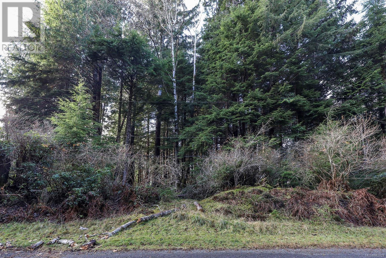 665 1st St, Sointula, British Columbia  V0N 3E0 - Photo 30 - 982827