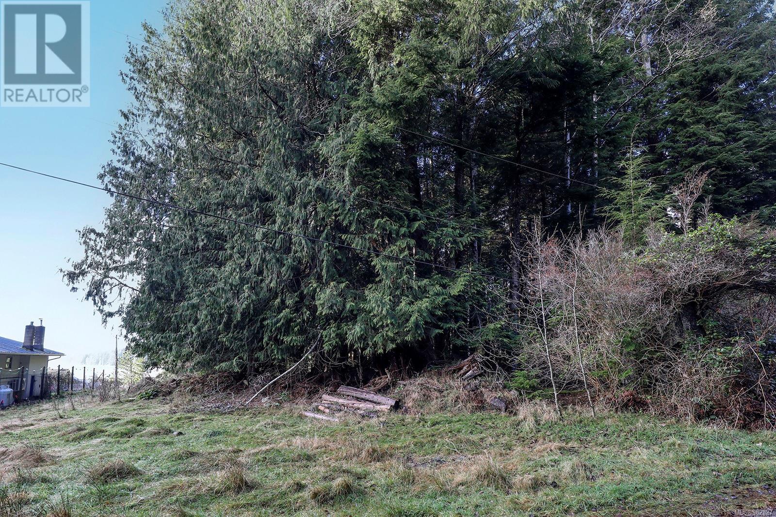 665 1st St, Sointula, British Columbia  V0N 3E0 - Photo 31 - 982827