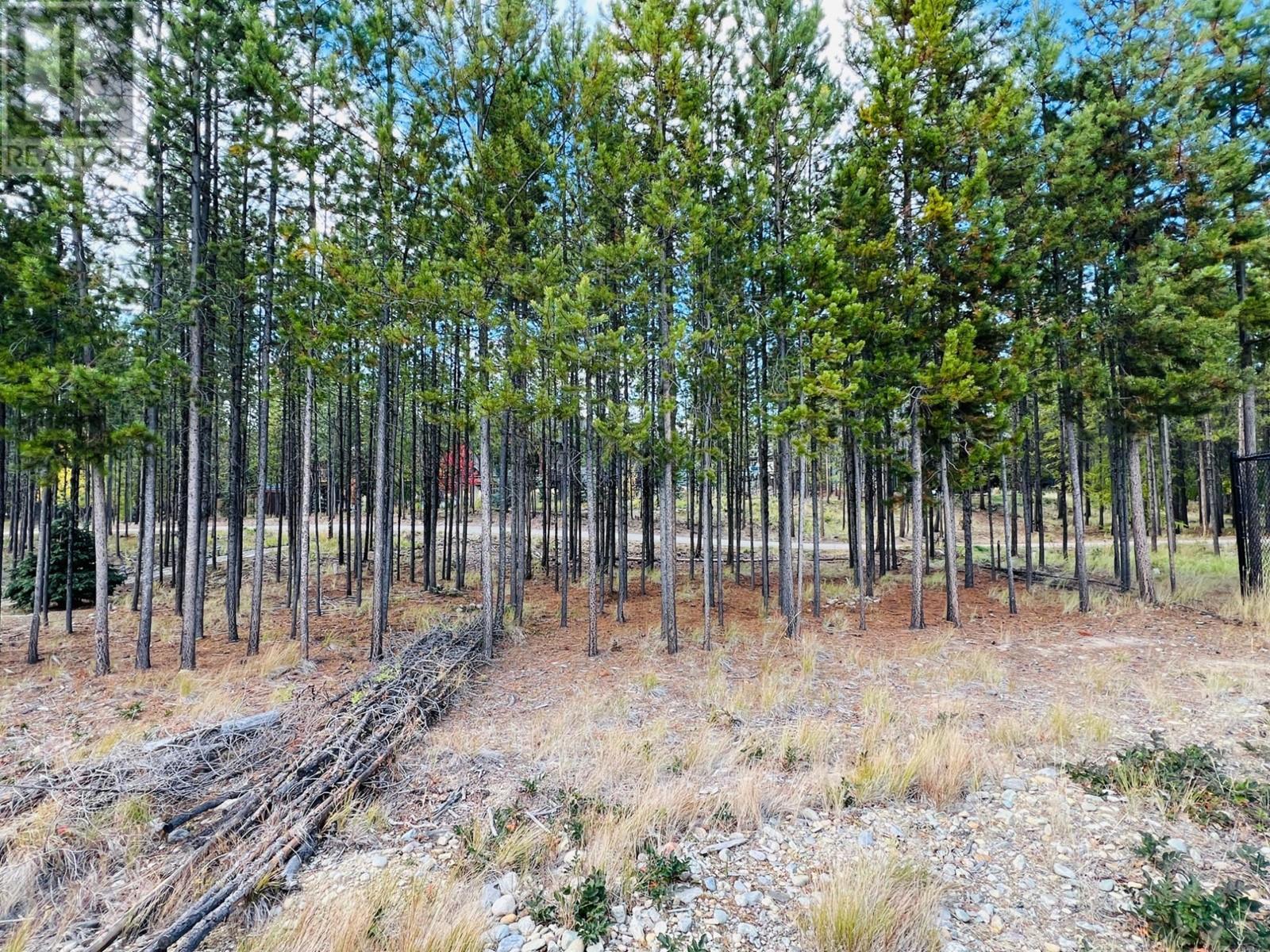 106 Forest Crowne Crescent, Kimberley, British Columbia  V1A 0A4 - Photo 7 - 2479788