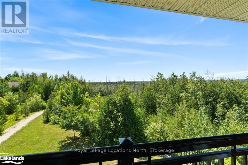 302 - 10 Brandy Lane Drive, Collingwood, Ontario  L9Y 0X4 - Photo 37 - S10440248