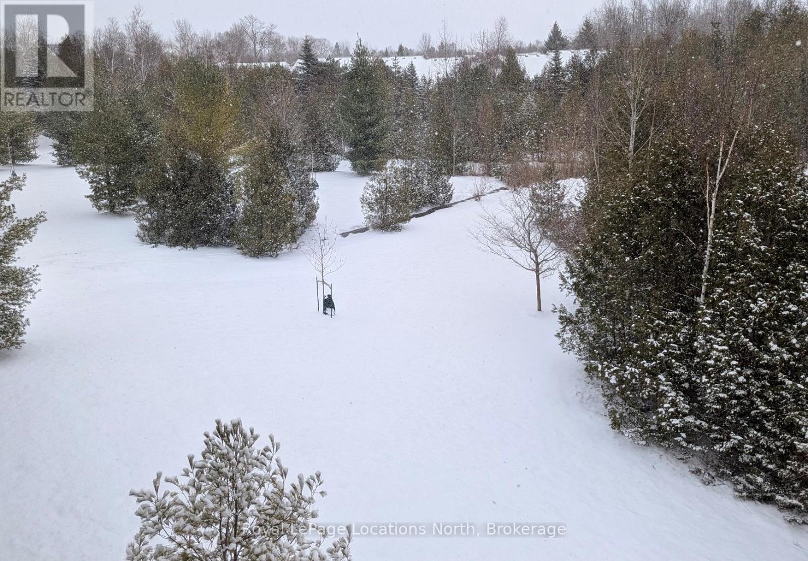 302 - 10 Brandy Lane Drive, Collingwood, Ontario  L9Y 0X4 - Photo 39 - S10440248