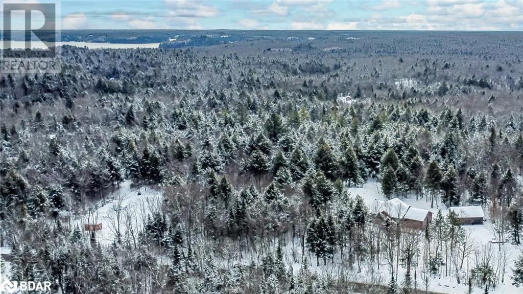 4571 Aspdin Road, Utterson, Ontario  P0B 1M0 - Photo 4 - 40687410