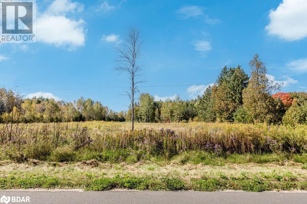 N/a Line 2 North, Oro-Medonte, Ontario  L0L 2L0 - Photo 12 - 40687409