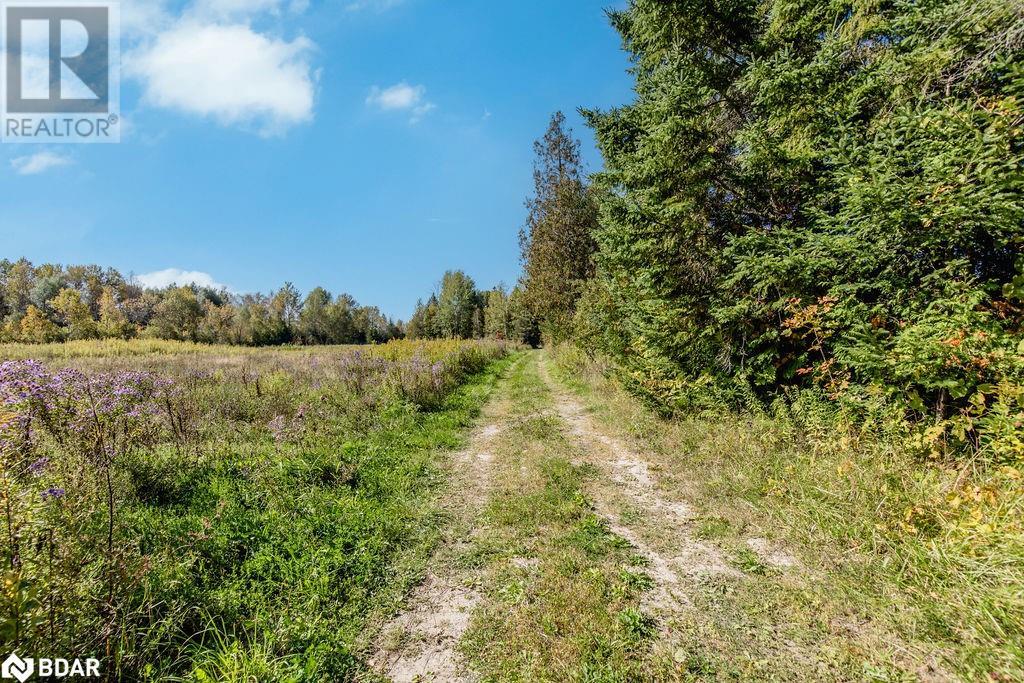 N/a Line 2 North, Oro-Medonte, Ontario  L0L 2L0 - Photo 13 - 40687409