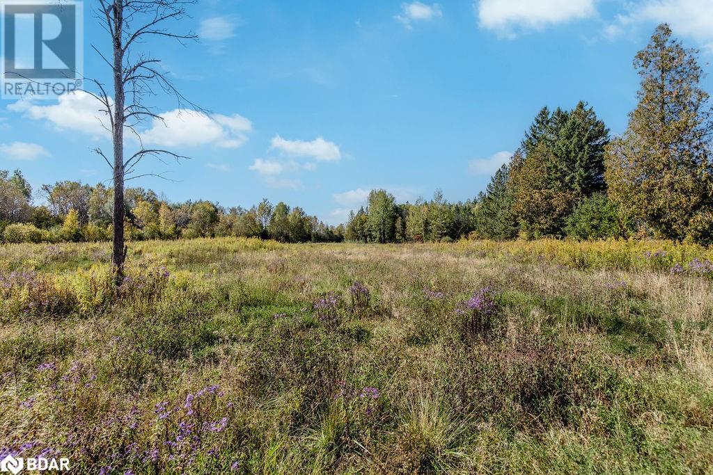 N/a Line 2 North, Oro-Medonte, Ontario  L0L 2L0 - Photo 14 - 40687409