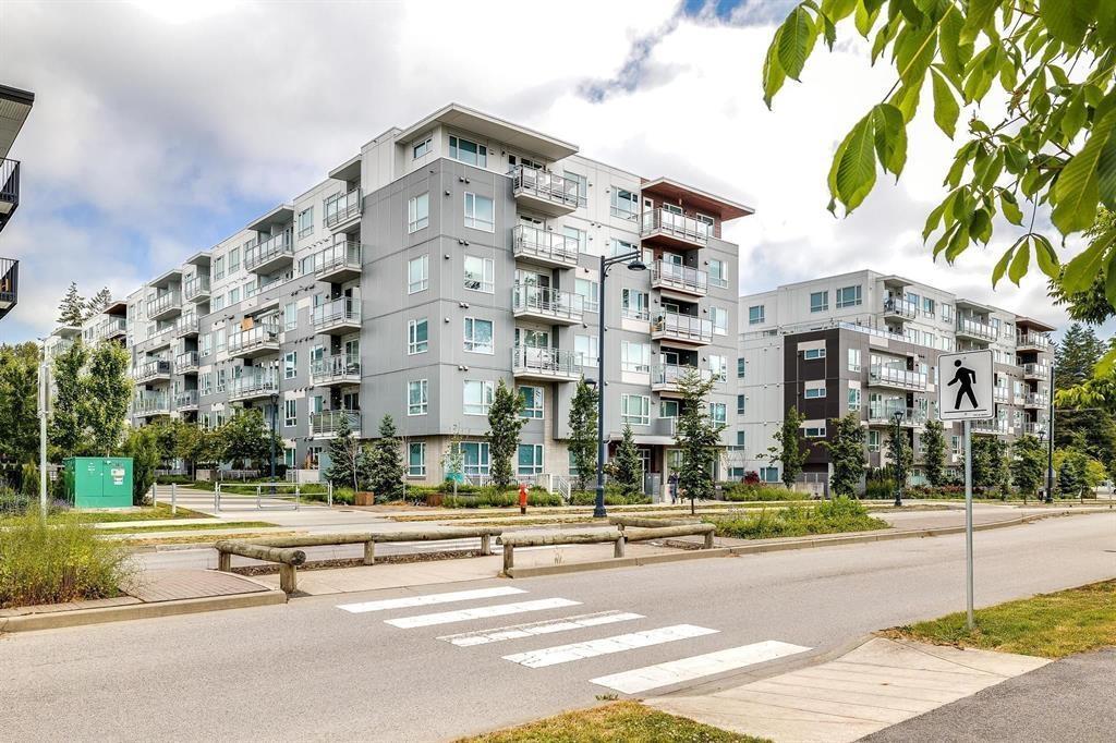 110 13963 105 Boulevard, Surrey, British Columbia  V3T 0M9 - Photo 16 - R2952225