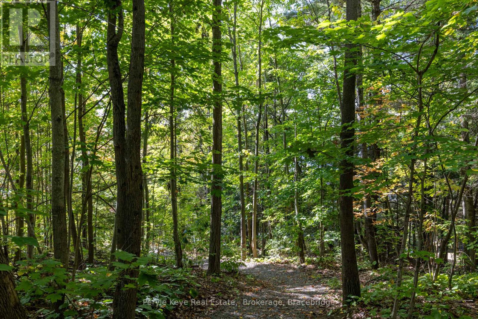 3 - 311 Grandview Hilltop Drive, Huntsville, Ontario  P1H 2J5 - Photo 6 - X10436940