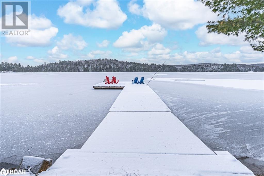 3978 South Portage Road, Lake Of Bays, Ontario  P1H 2J3 - Photo 25 - 40687448