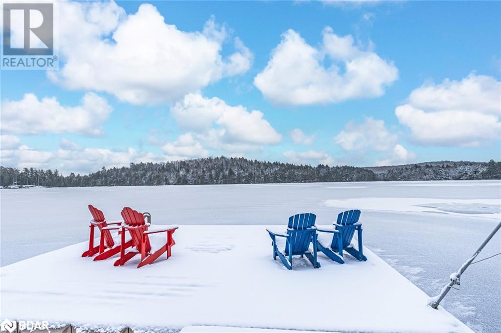 3978 South Portage Road, Lake Of Bays, Ontario  P1H 2J3 - Photo 27 - 40687448