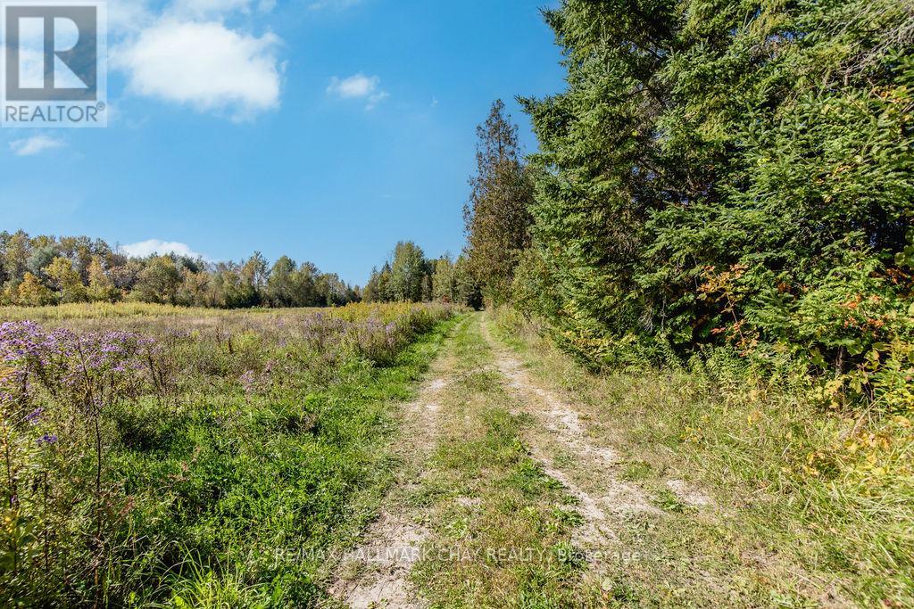 Na Line 2 North Line N, Oro-Medonte, Ontario  L0L 2L0 - Photo 14 - S11906336