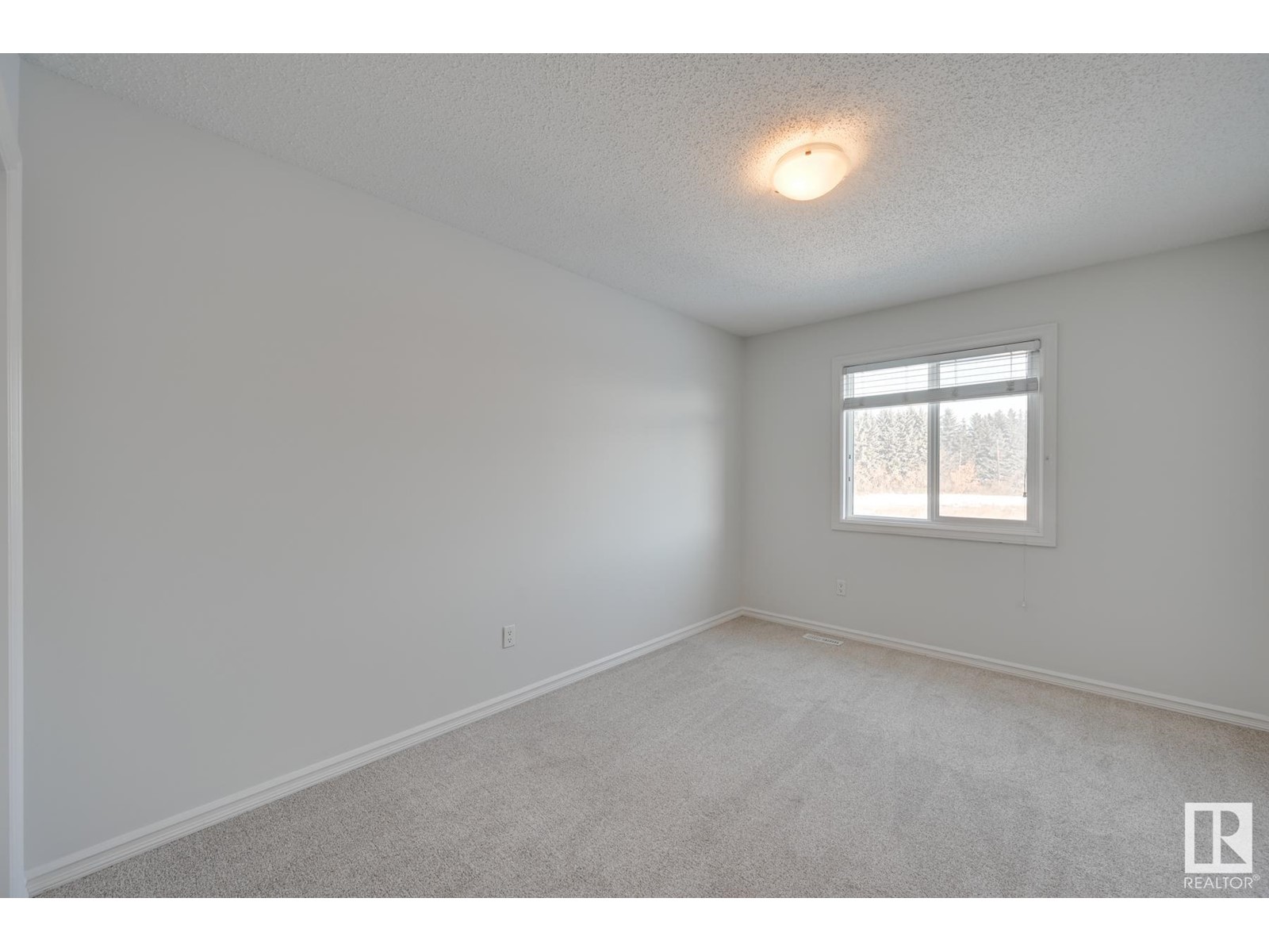 21804 91 Av Nw, Edmonton, Alberta  T5T 6Z5 - Photo 24 - E4417023