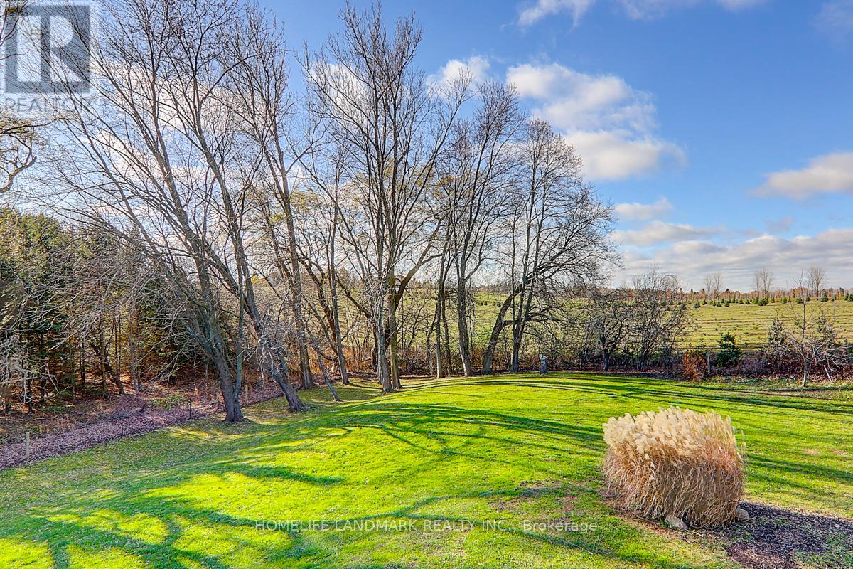 5803 3rd Line, New Tecumseth, Ontario  L0G 1W0 - Photo 32 - N11906559