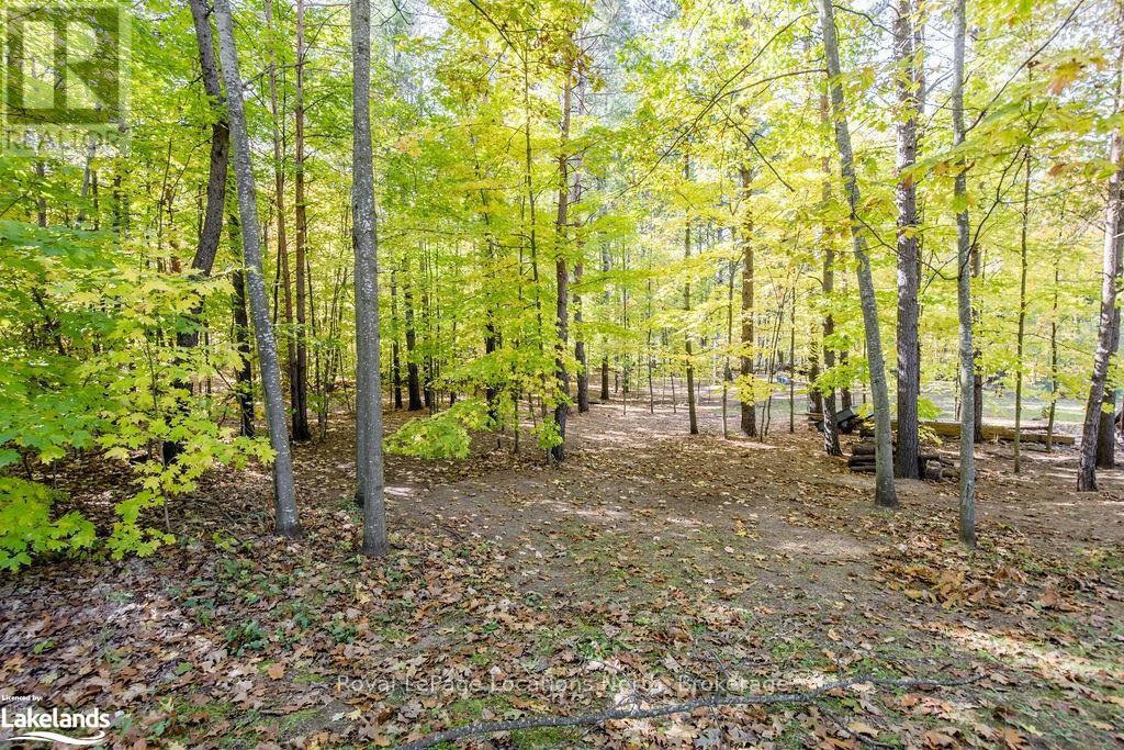 5358 Penetanguishene Road, Springwater, Ontario  L0L 1P0 - Photo 34 - S10438693