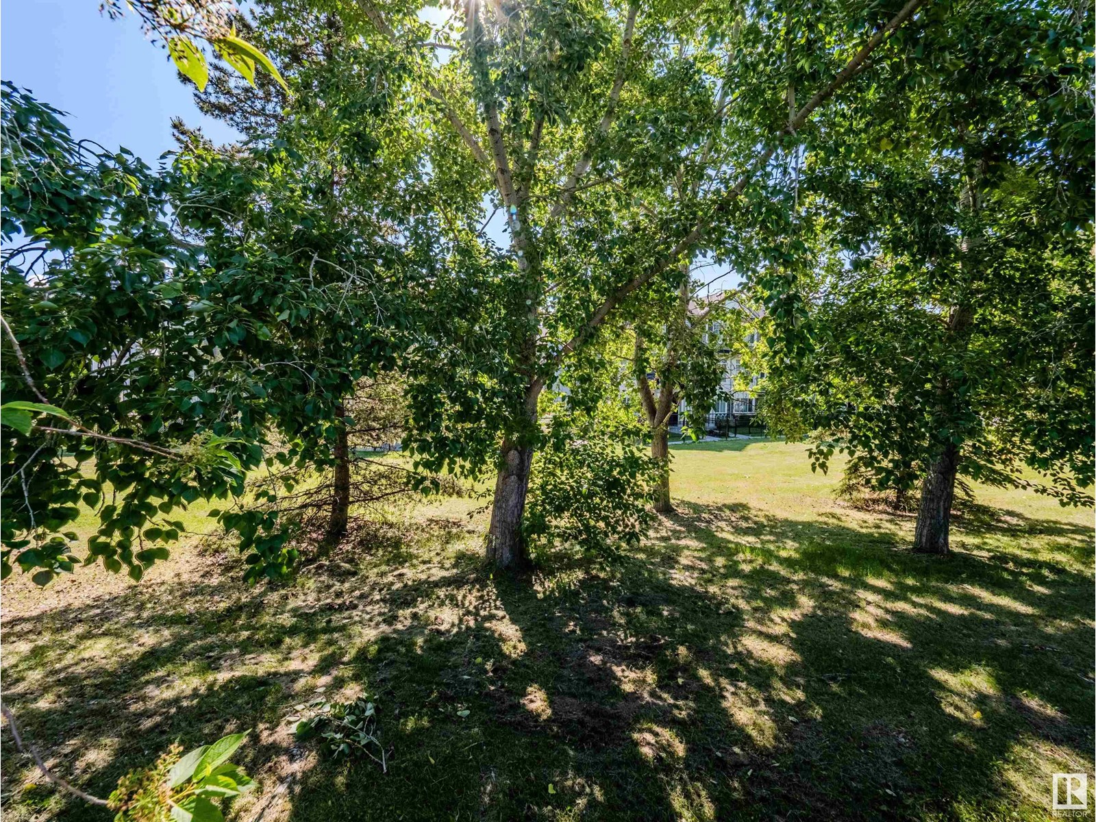 11407 12 Av Nw, Edmonton, Alberta  T6J 6W8 - Photo 51 - E4417066