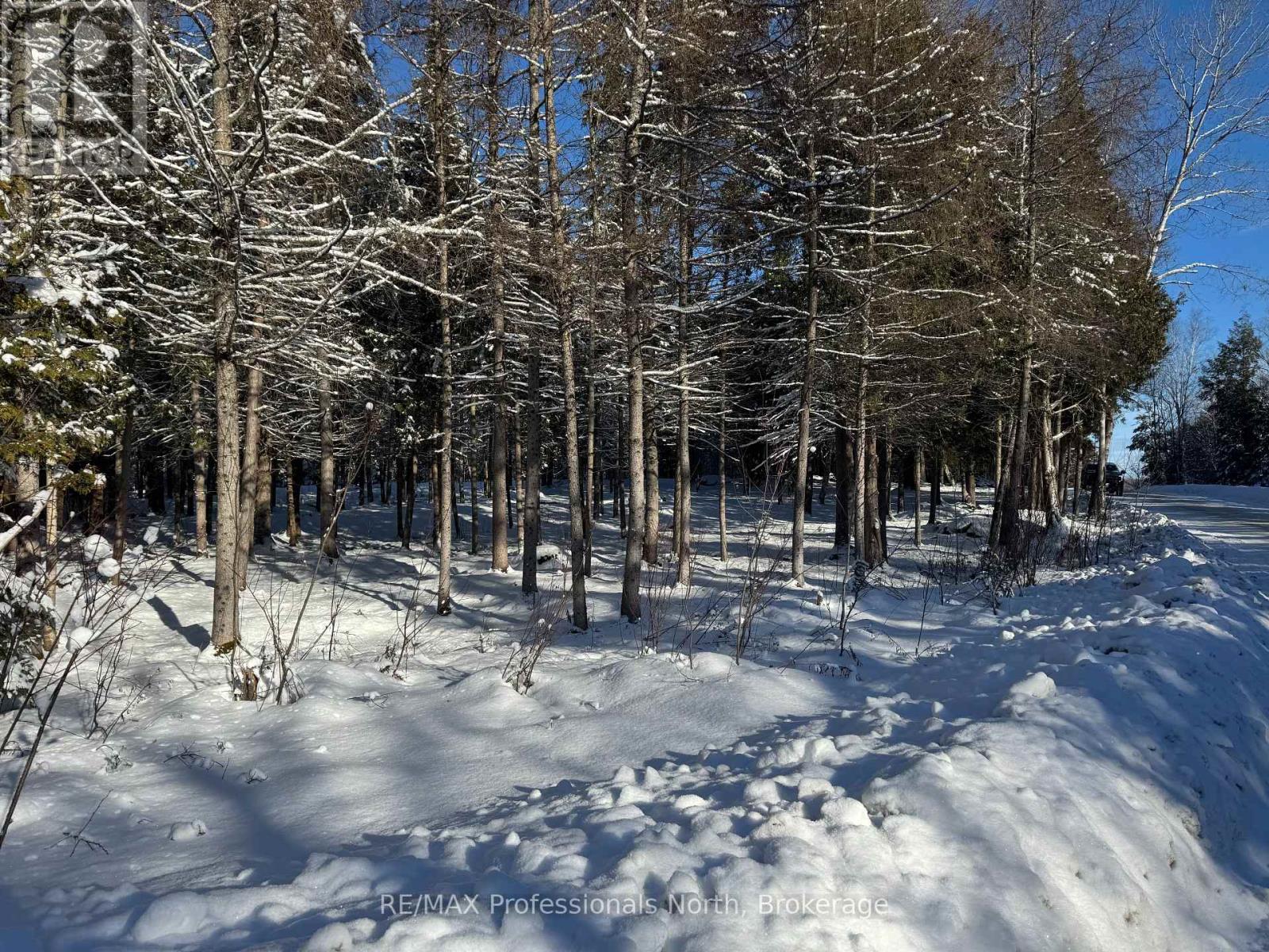 1897 Blairhampton Road, Minden Hills, Ontario  K0M 2K0 - Photo 13 - X11907078