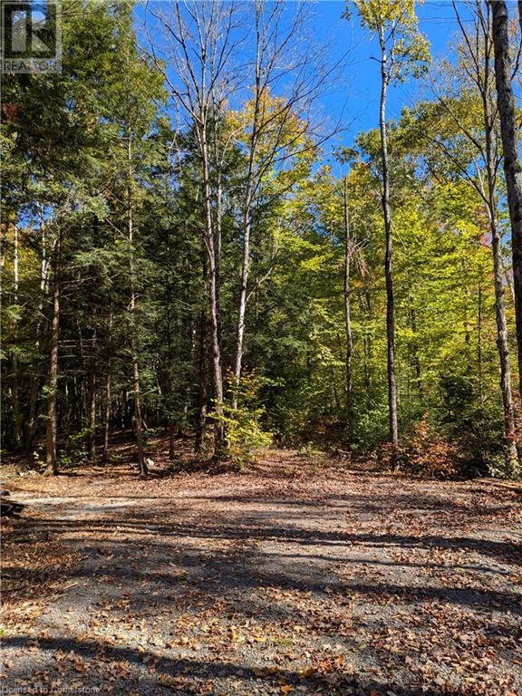 1060 Nordic Road, Arden, Ontario  K0H 1B0 - Photo 3 - 40687638