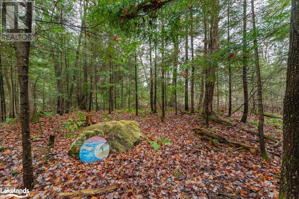 15-16 - 93 Rye Road, Parry Sound, Ontario  P0A 1X0 - Photo 36 - X10438439