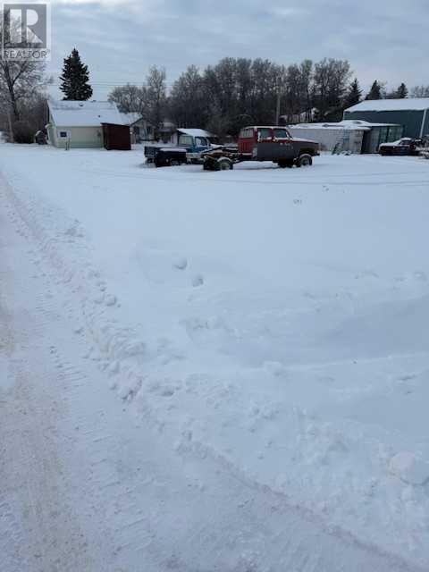 1103 19th Avenue, Lousana, Alberta  T0M 1K0 - Photo 2 - A2185455