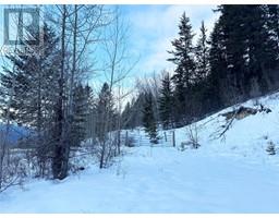 1445 95 Highway, golden, British Columbia