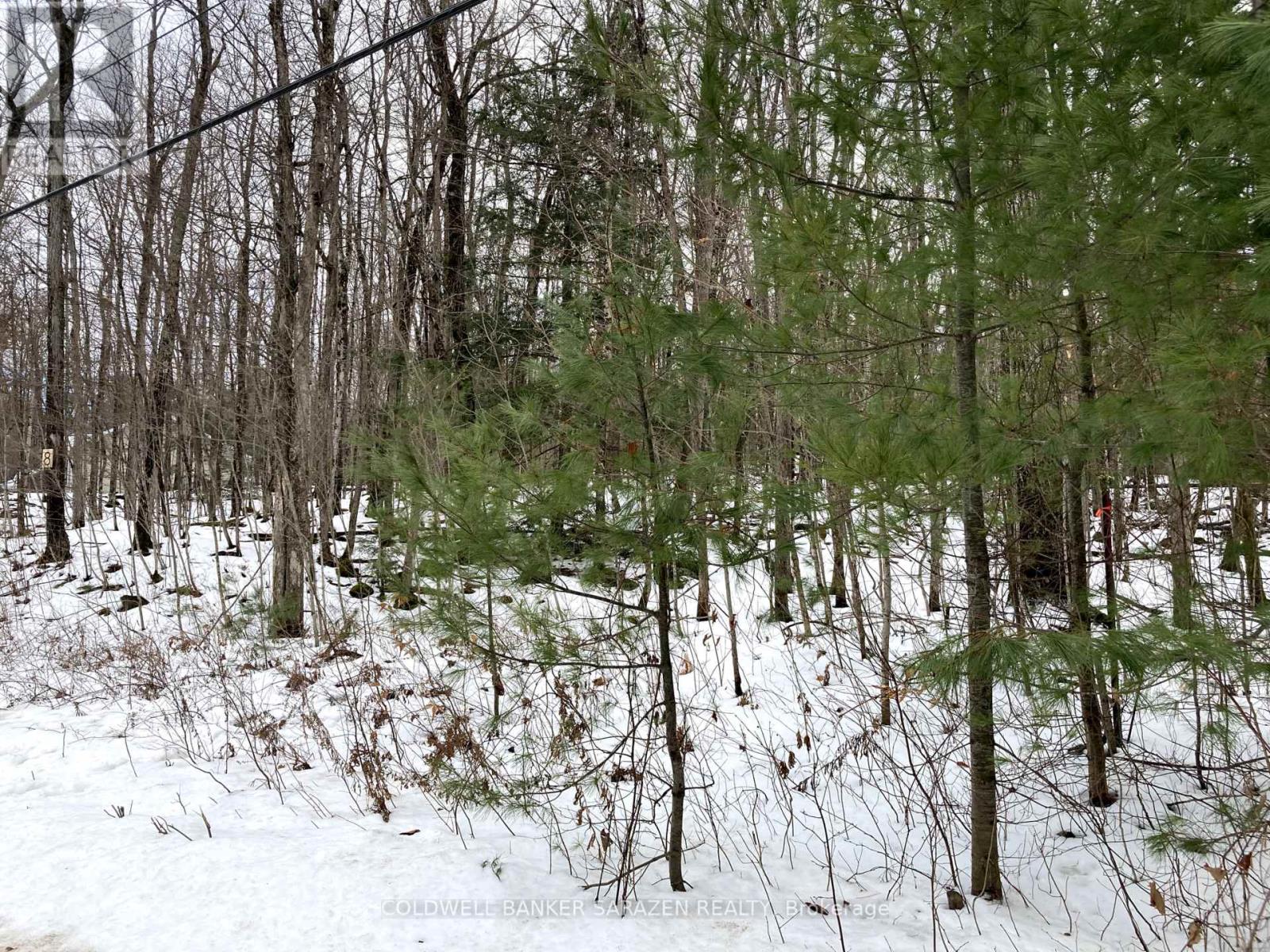 Lot 8 Deerfield Drive, Mcnab/braeside, Ontario  K0A 3L0 - Photo 10 - X11908006