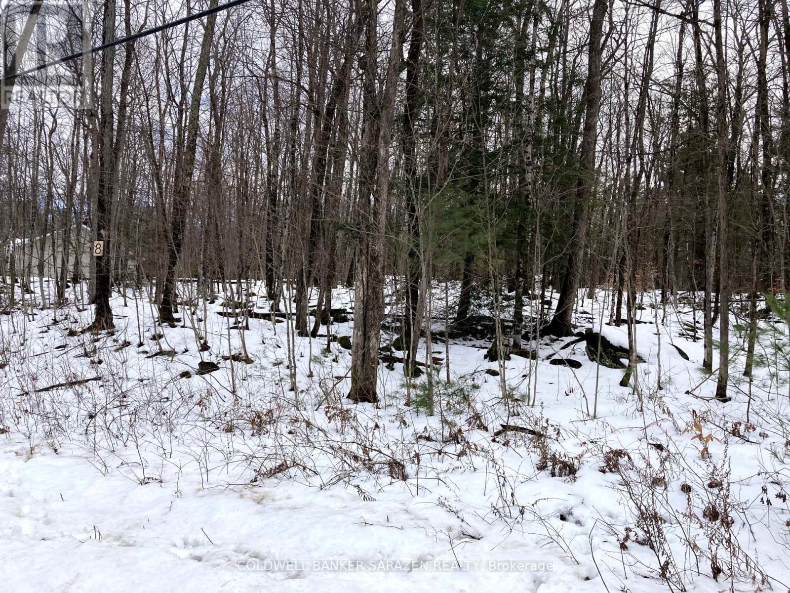 Lot 8 Deerfield Drive, Mcnab/braeside, Ontario  K0A 3L0 - Photo 4 - X11908006