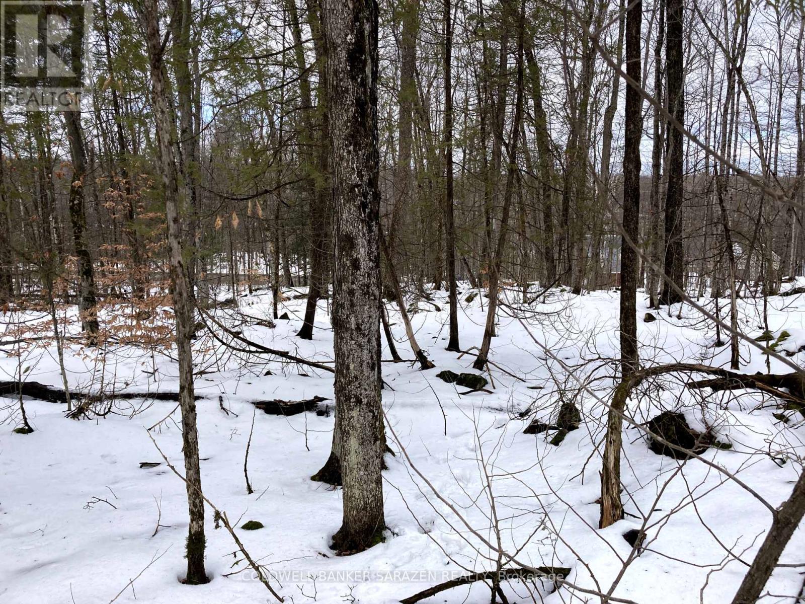 Lot 8 Deerfield Drive, Mcnab/braeside, Ontario  K0A 3L0 - Photo 5 - X11908006