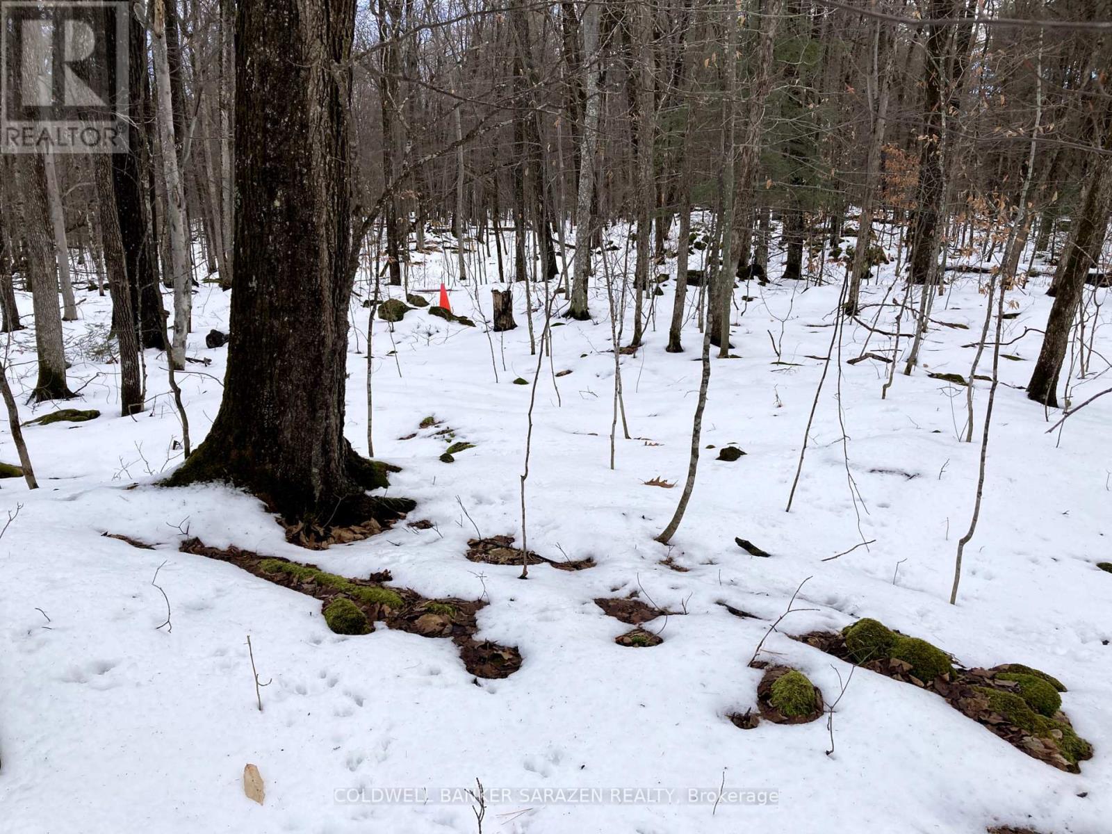 Lot 8 Deerfield Drive, Mcnab/braeside, Ontario  K0A 3L0 - Photo 6 - X11908006