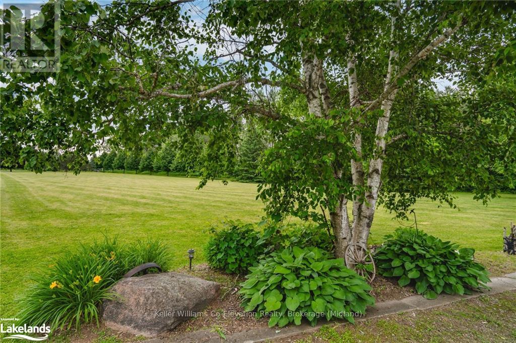 4060 10th Side Road, Bradford West Gwillimbury, Ontario  L3Z 3V2 - Photo 29 - N10439741