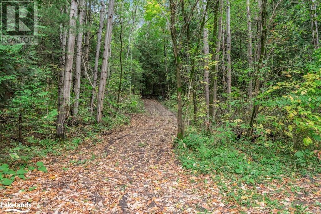 4060 10th Side Road, Bradford West Gwillimbury, Ontario  L3Z 3V2 - Photo 35 - N10439741