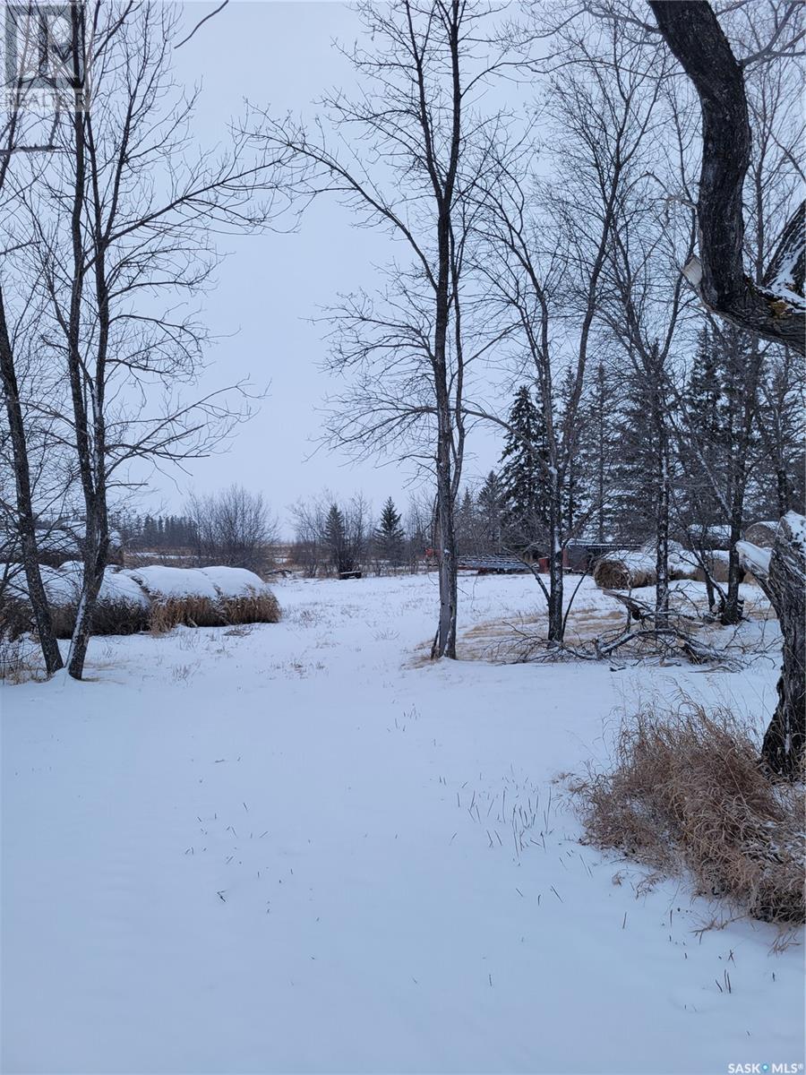 Paulson Acreage, Ponass Lake Rm No. 367, Saskatchewan  S0E 1M0 - Photo 5 - SK992262