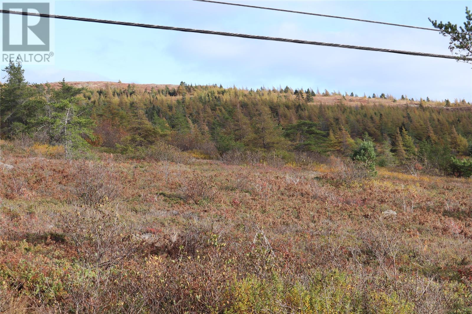776 Conception Bay Highway, Spaniards Bay, Newfoundland & Labrador  A0A 3X0 - Photo 2 - 1280582
