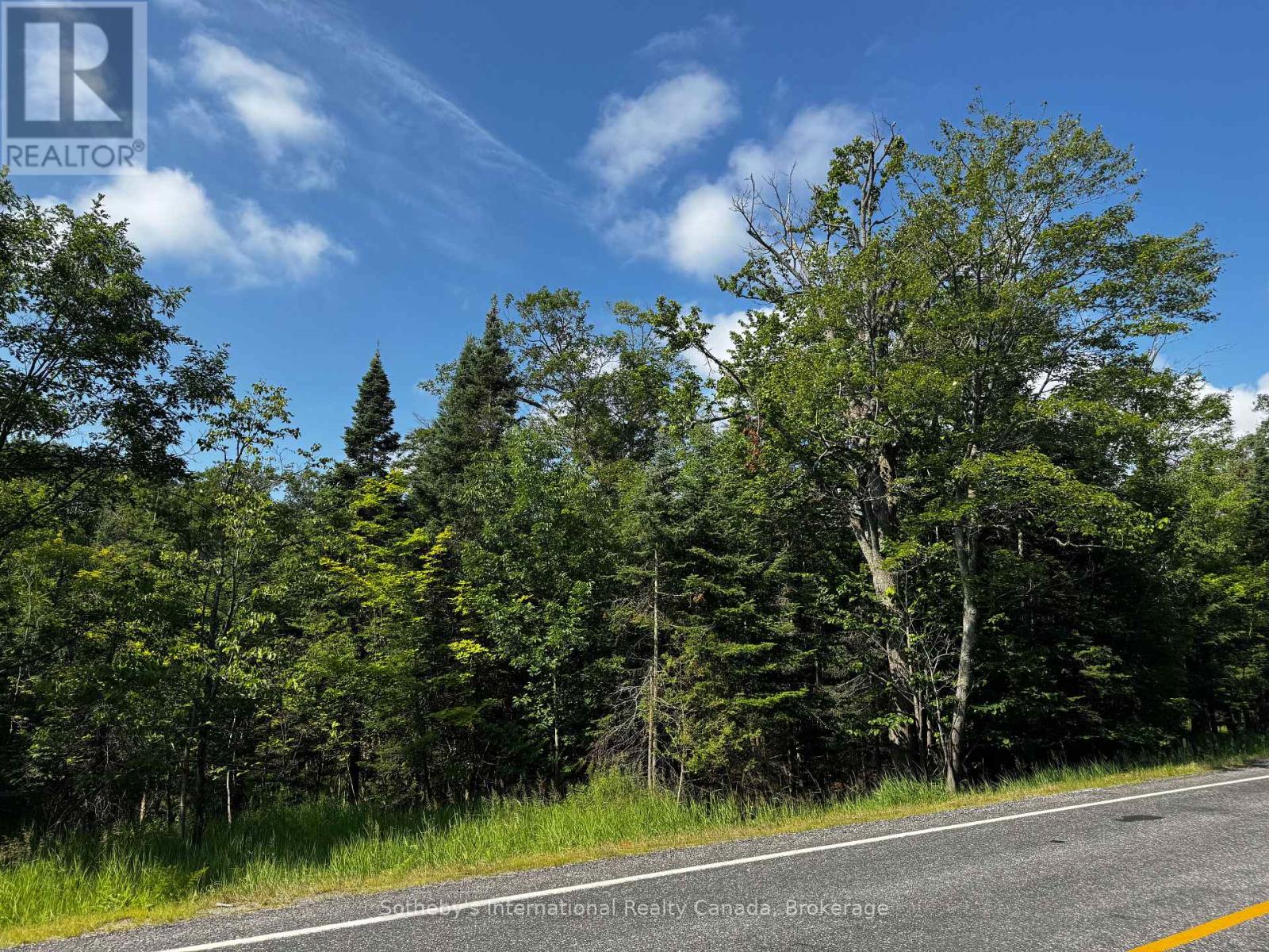 126 Highway 559, Carling, Ontario  P0G 1G0 - Photo 21 - X11893531