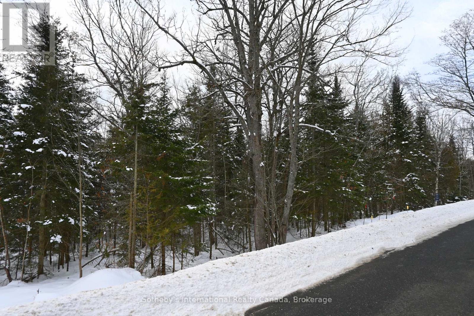 126 Highway 559, Carling, Ontario  P0G 1G0 - Photo 24 - X11893531