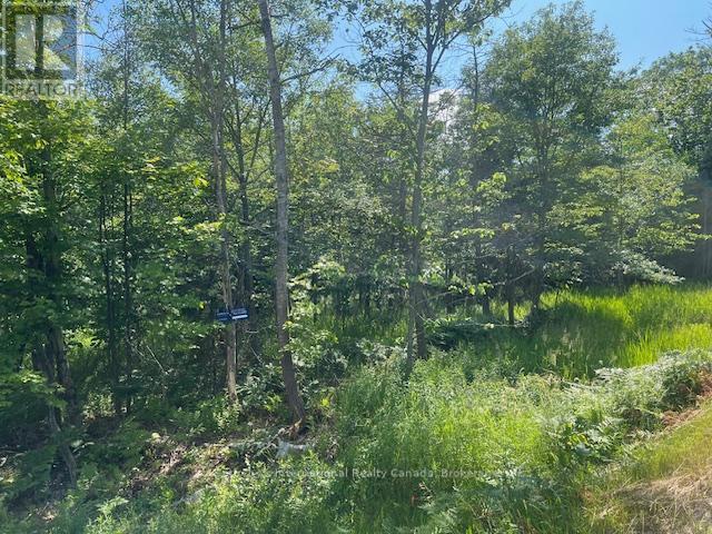126 Highway 559, Carling, Ontario  P0G 1G0 - Photo 6 - X11893531