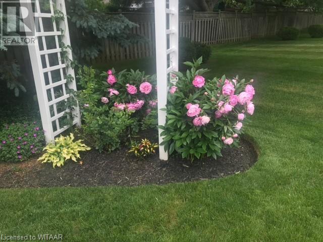 9 Brasher Drive, Tillsonburg, Ontario  N4G 5T2 - Photo 4 - 40683797