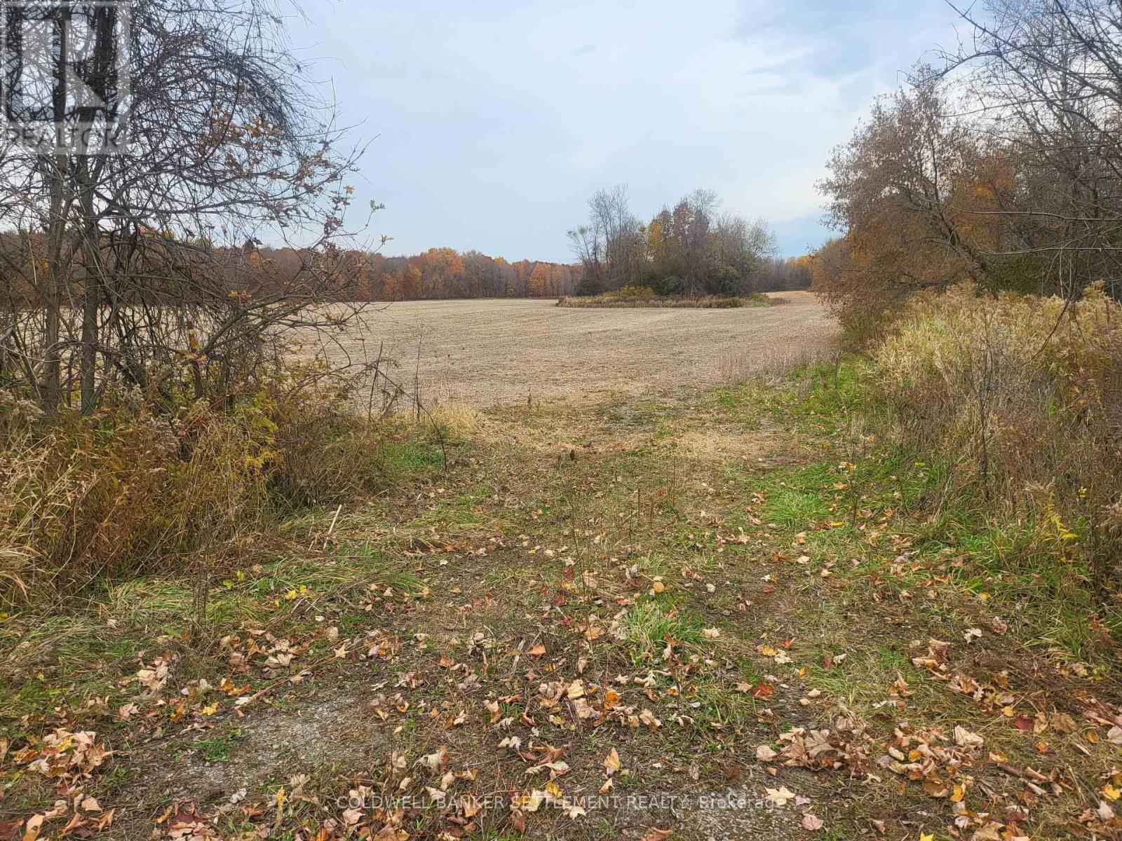 Lot 3 Bush Road, Rideau Lakes, Ontario  K0G 1E0 - Photo 1 - X11908670