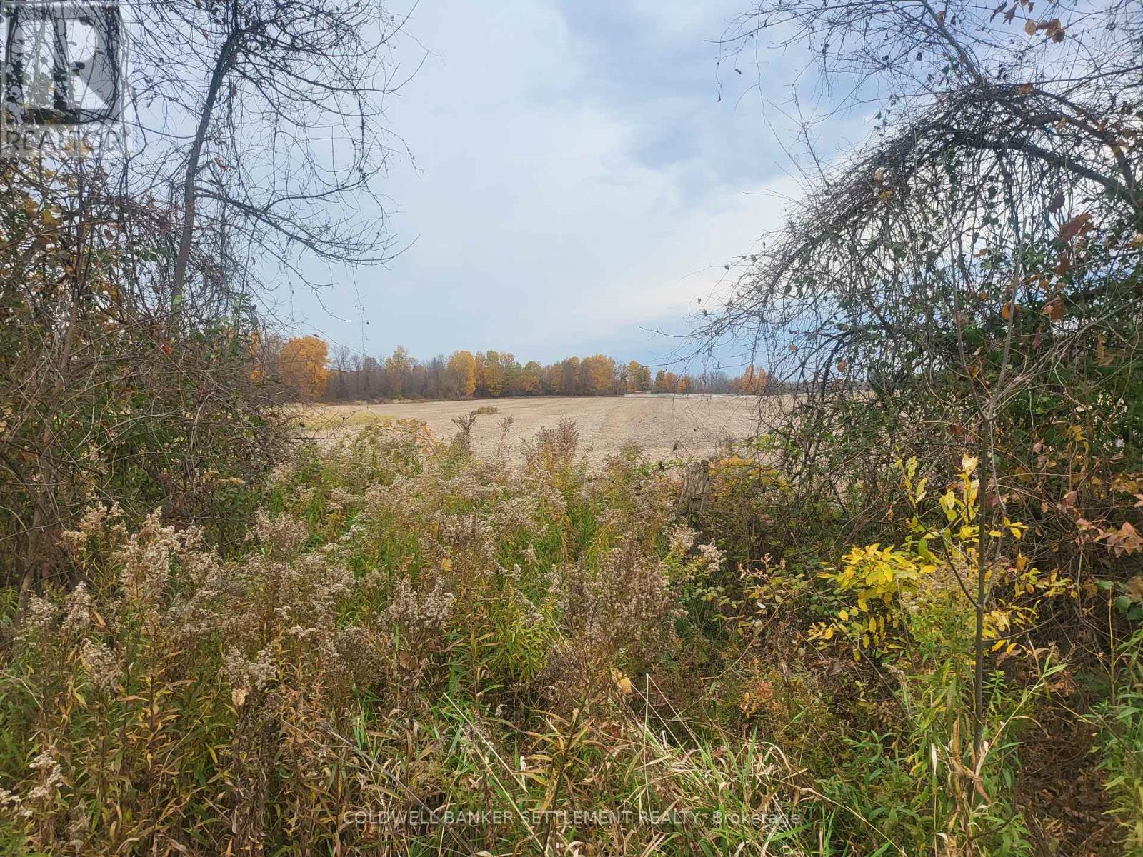 Lot 5 Bush Road, Rideau Lakes, Ontario  K0G 1E0 - Photo 1 - X11908714