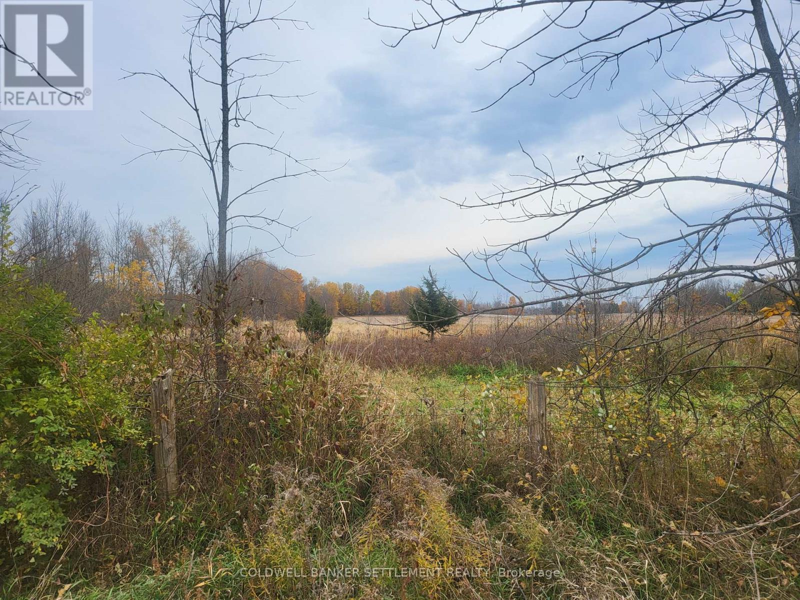 Lot 5 Bush Road, Rideau Lakes, Ontario  K0G 1E0 - Photo 2 - X11908714